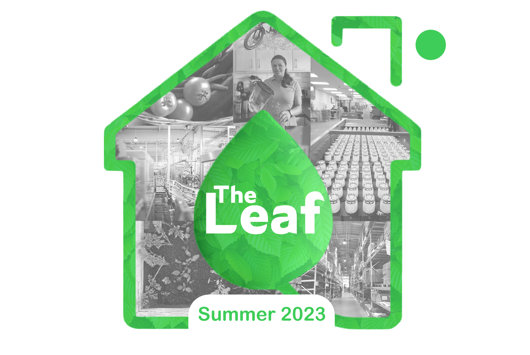 The Leaf: Issue 15 July 2023 – Our (Rainy) Summer Sustainability Newsletter – Staff Wellbeing and Award-Winning Energy Savings