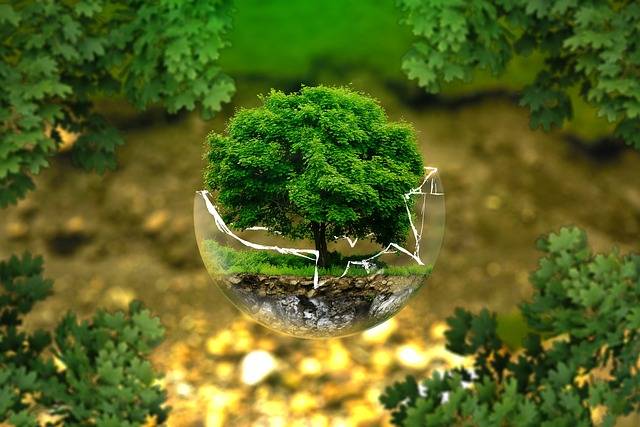 Eco4: What Is It And How Can You Apply?
