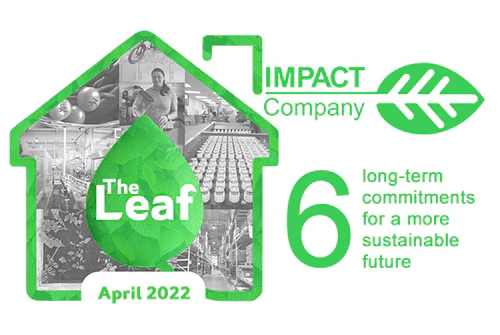 The Leaf: Issue 11 Mar 2022 – How We Embrace Our Role As an Impact Company