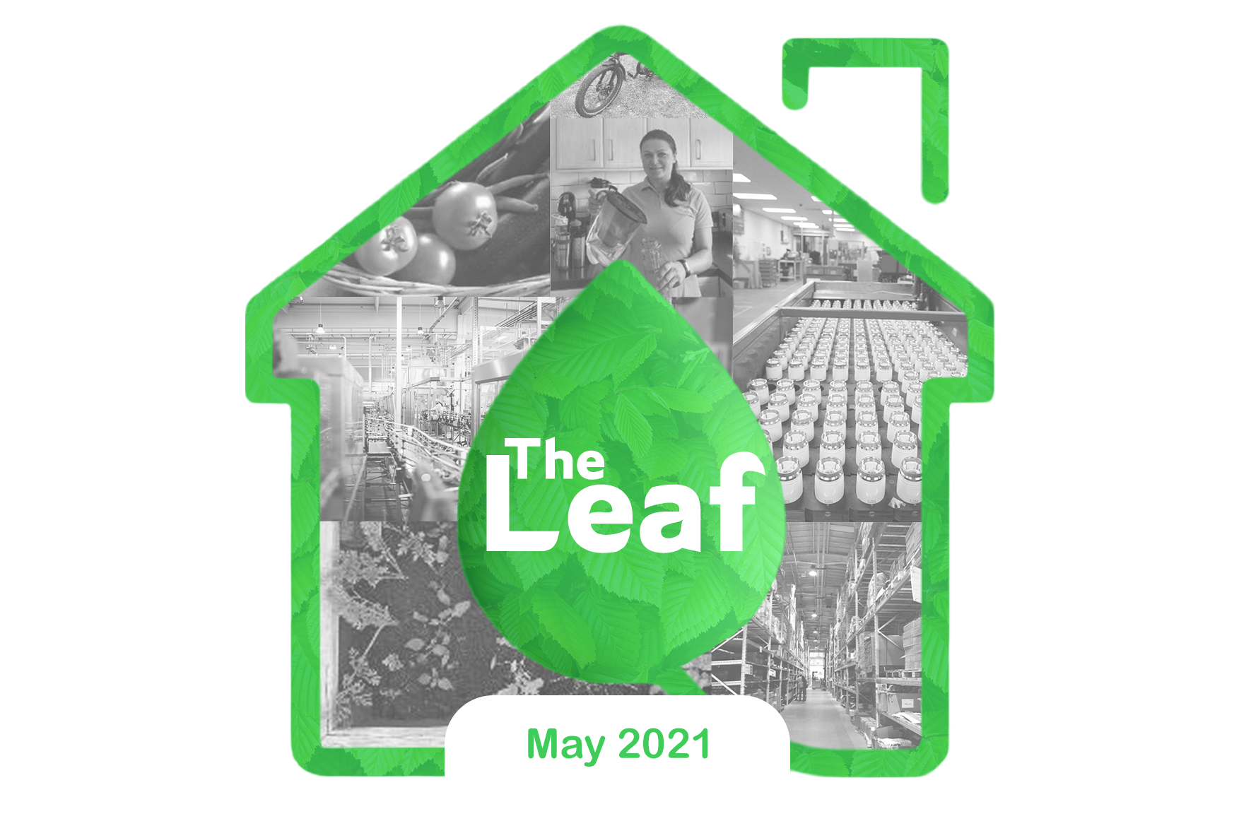 The Leaf: Issue 1 May 2021 - How We've Cut Our Single Use Plastic Use By Nearly 40% So Far