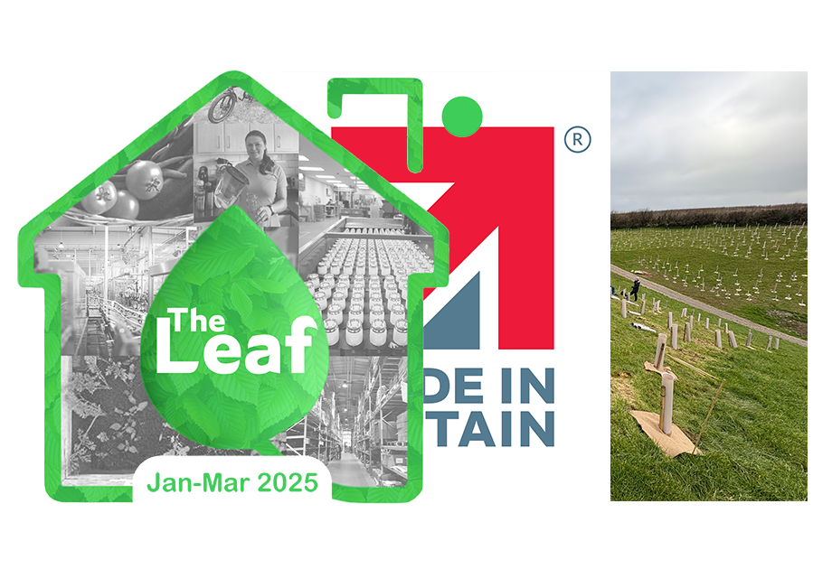 The Leaf – Issue 18 – Latest Sustainability Recognitions, Why Buy Made in Britain, and The Team Gets Dirty Planting Trees