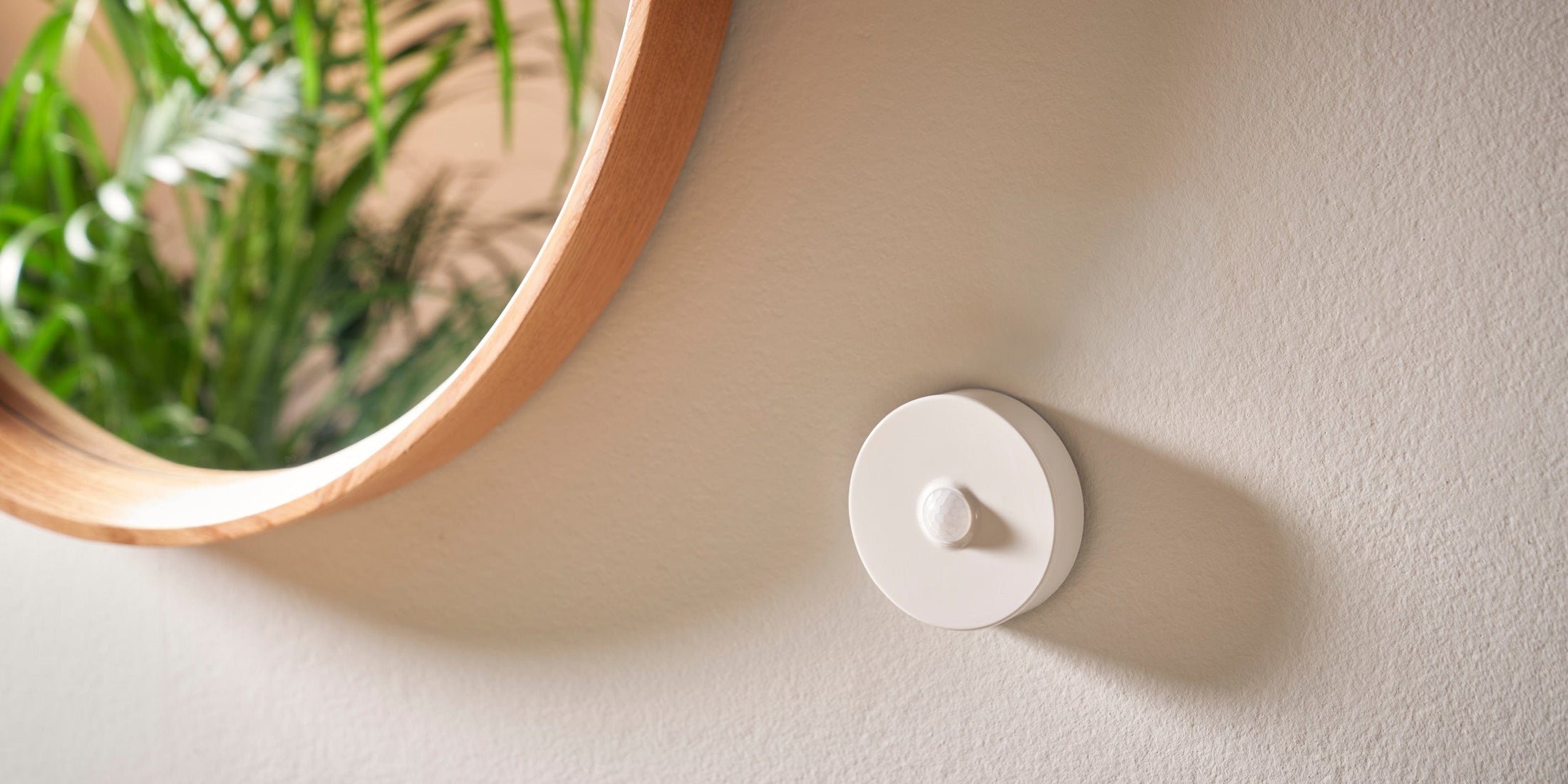 Smart Home Sensor & Micro Range | Wiser