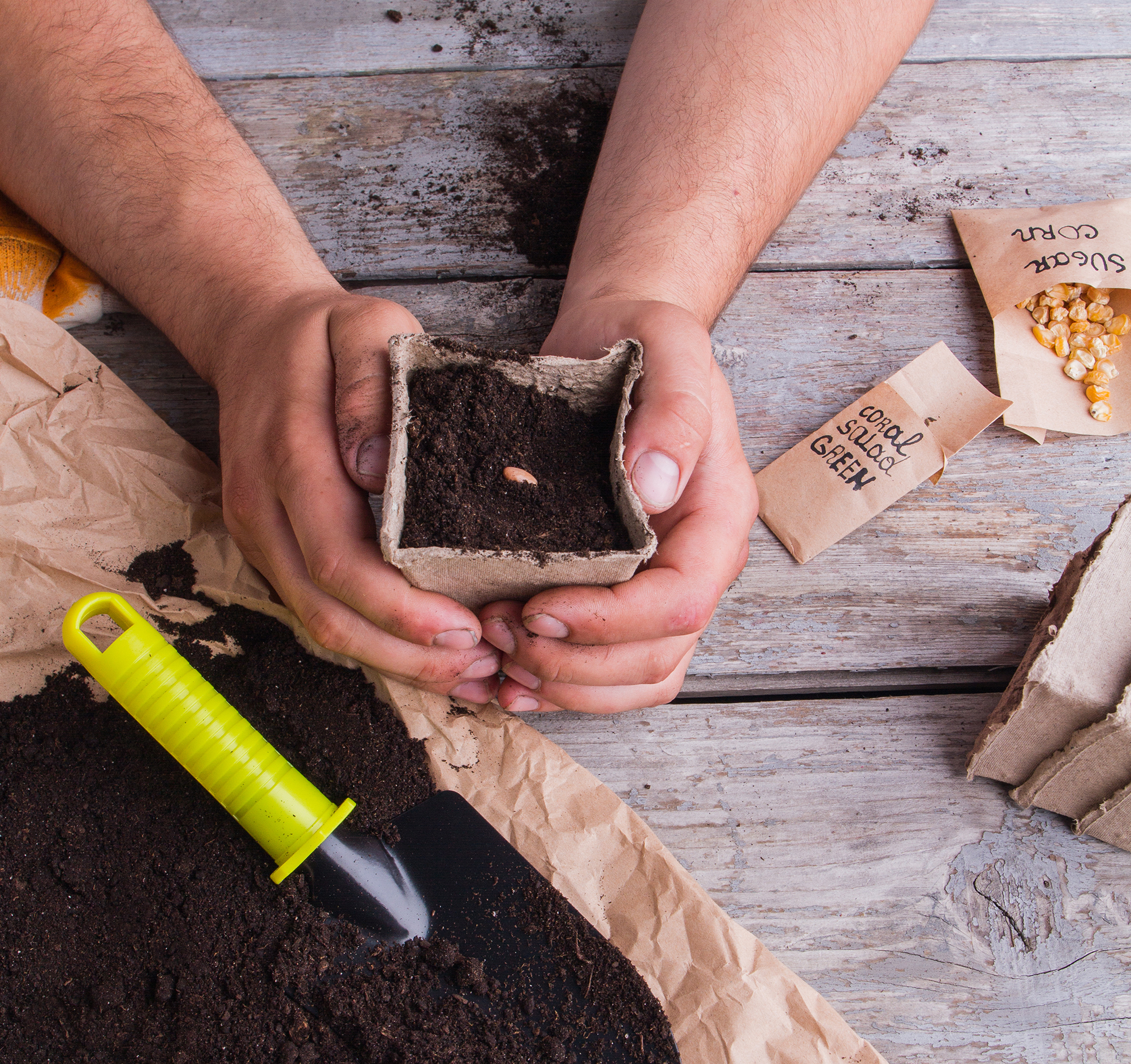 10 tips for sustainable seed planting