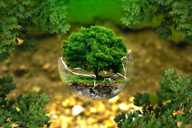 Small tree in glass