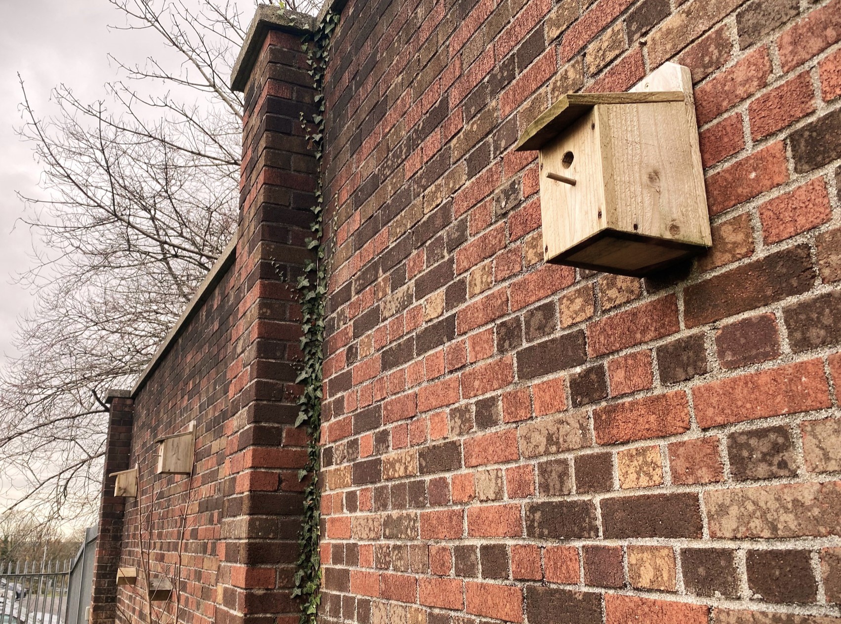 Drayton Biodiversity Garden Bird Boxes