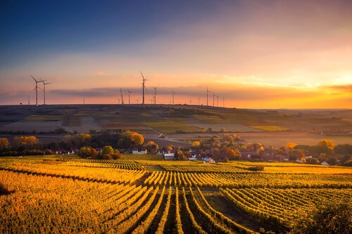 Farm with wind turbines 