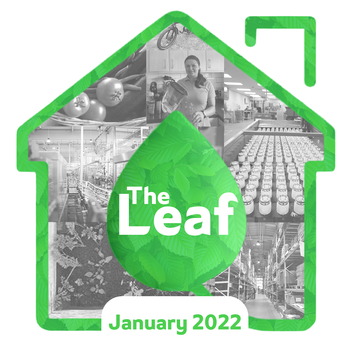 The Leaf - Drayton Sustainability Blog - January 2022