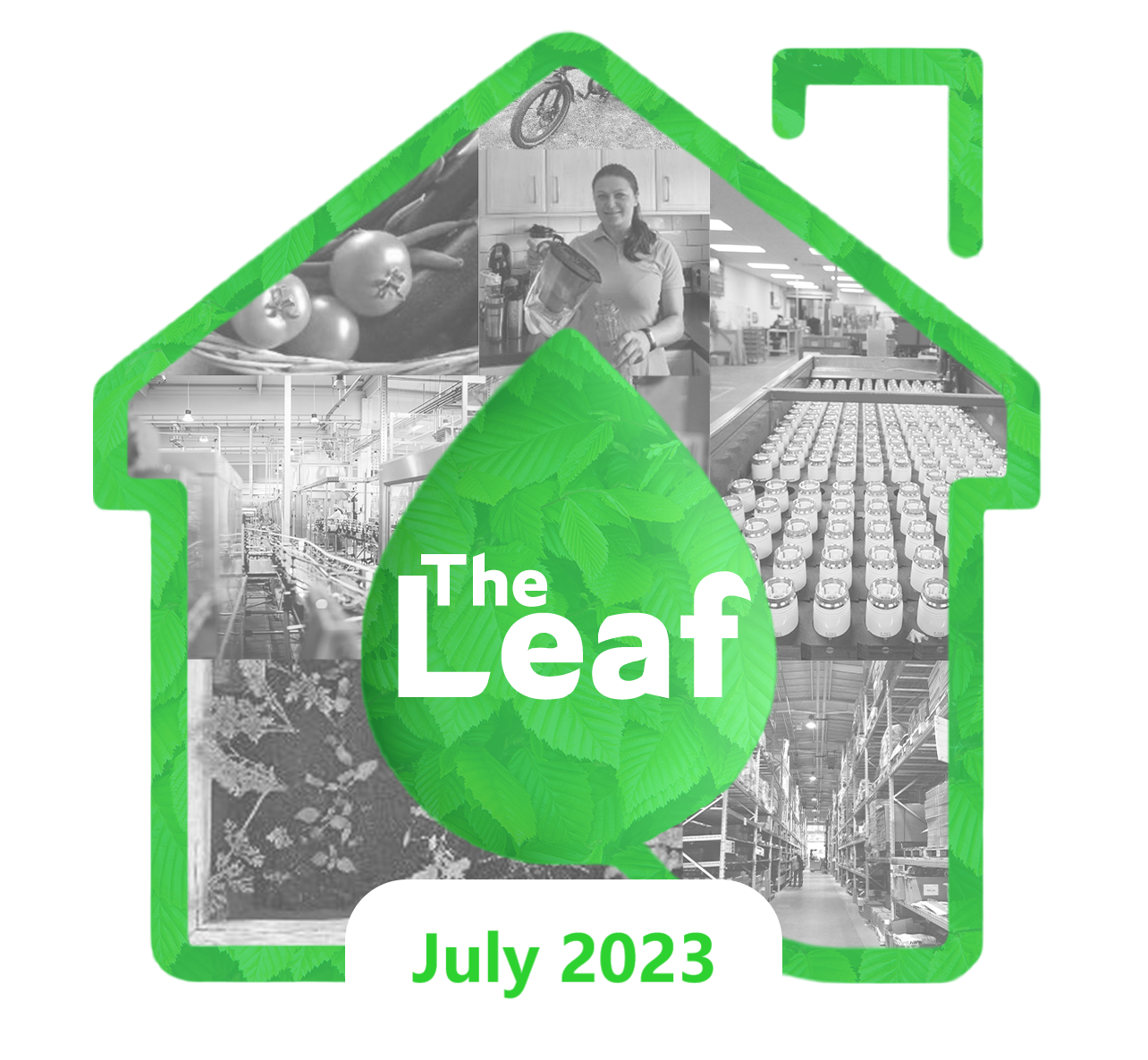 The Leaf Drayton Sustainability Blog